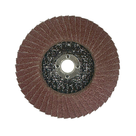 Fiberglass Mini Flap Dise (T27)