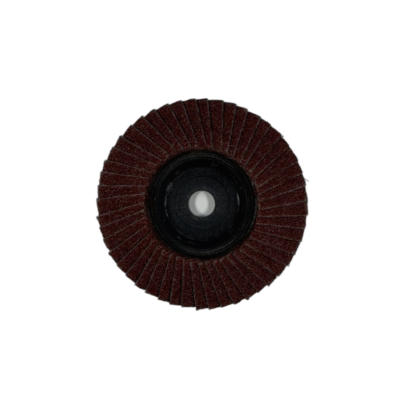 Plastic Mini Flap Dise (T27)